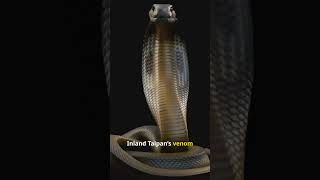 Inland Taipan: The World's Most Venomous Snake Explained! 🌍🐍  #venomoussnakes #snakefacts #shorts