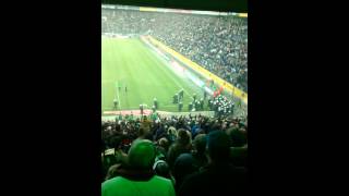 Borussia - Köln 14.02. 2015