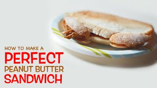 Bo Burnham: How To Make A Peanut Butter Sandwich!