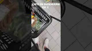 Life In Denmark 🇩🇰 Ep 2 #shorts #ganeshchaturthi #lunch #vlogs | Bhuvana Tamil Vlogs Denmark