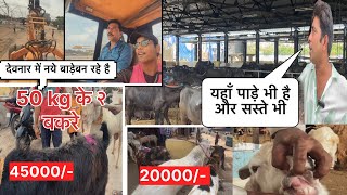 Deonar new update 2024 || kaam zor se chalu hai  || live location update 😱