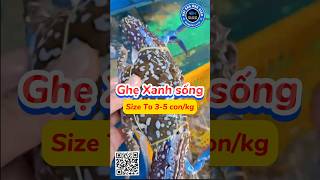 Ghẹ Xanh Size 3-5 Con Giá Tốt Giao Sống Tận Nơi | Hải Sản Ông Giàu #ghe_xanh #ghexanh #giá_ghẹ_xanh