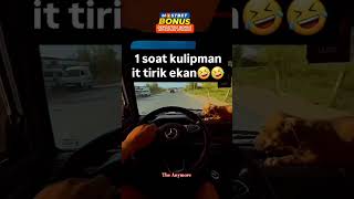 It tirik ekan 🤣😂😅#sevgi #baht #million #youtubeshorts #uzbekistan #top #reels #shorts#tiktok