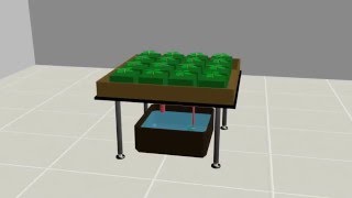 Hydroponic System -  Flood and drain