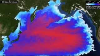 Fukushima Fast Foward 2011-2022