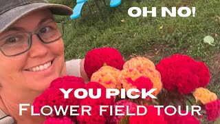 August on the You-Pick Flower farm!