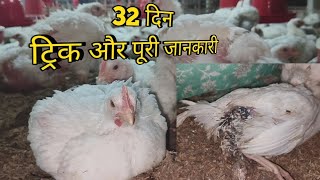 farm ka 32 ba din / फार्म का ऑल टिप्स और जानकारी