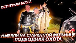 🥷Подводная охота на старой мельнице,🦫встретили бобра,баня после нырялки 🧖‍♂️