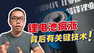 崛起的电池力量！我国锂矿丰富，为何还被“卡脖子”？【白呀白Talk】