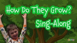 Israeli Tu B'shvat Song for Kids: How Do They Grow? ?איך צומחים