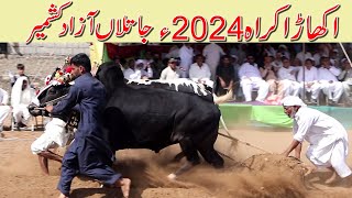 Akhara Krah jatlan Azad Kashmir Part One  2024 .  اکھاڑا کراہ جاتلاں آزاد کشمیر