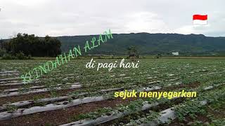 INDAHNYA PEMANDANGAN DIPAGI DAN SORE HARI.