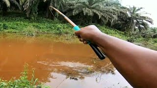 MANCING BETOK MUSIM BANJIR INI HASILNYA