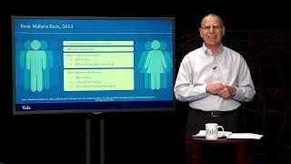 Malaria | Essentials of Global Health with Richard Skolnik