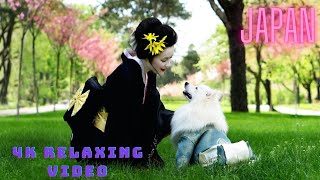 4K Japan Relaxation Video - Relaxation Video - Soothing Music-Calming Music-