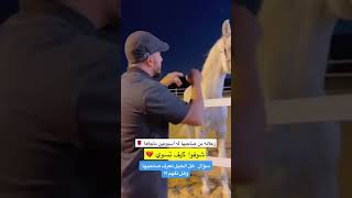 شوفوا كيف زعل الخيل😇