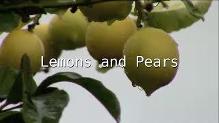 Lemons and Pears by edu (Cover)