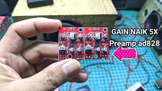 TEST REVIEW PREAMP AD828