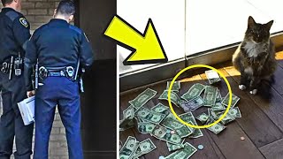 Every Day Cat Brings Home Cash, But Then the Police Show Up. The Reason Why is Mind Blowing