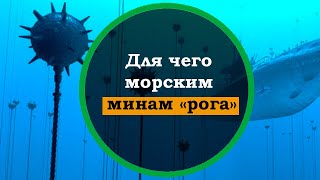 Как работают морские мины. Для чего морским минам «рога» и опасно ли к ним прикасаться?