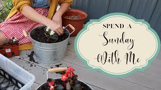 Spend a Sunday with Me | Rhubarb picking | Gardening