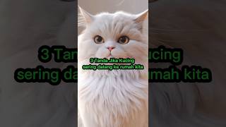 3 tanda kucing sering datang ke rumah ‼️ #shorts #islam #cat #video