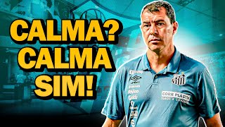 Palmeiras 2x1 Santos | DIFÍCIL PEDIR CALMA! MAS CALMA, tá?