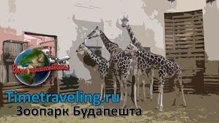 Зоопарк Будапешта (Budapest, Zoo)