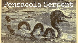 Hunting the Pensacola Serpent!