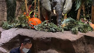 A jungle restaurant - American style in Disney Tokyo Resort