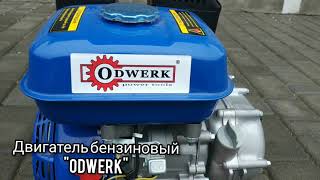 Двигатель бензиновый ODWERK DVZ 170F с понижающим редуктором 1/2