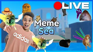 JOGANDO E UPANDO AO VIVO NO MEME SEA!!!