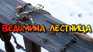 ВЕДЬМИНА ЛЕСТНИЦА