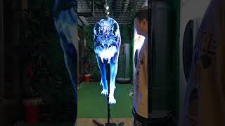 Fantastic Holo-Ventilation: Blending Reality with Magic #3d #ledfan #holographic #advertising