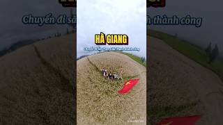 Hoa Tam Giác Mạch đang nở đẹp lắm mọi người ơi. #viralvideo #HaGiang  #travelblogger  #HaiDangHayDi