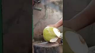 Cara cepat memotong buah kelapa#shorts