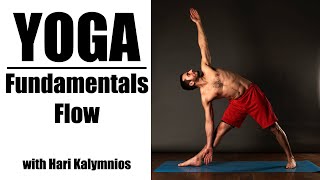 Fundamentals Flow Yoga - Hari Kalymnios | The Thought Gym