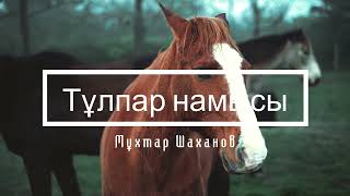 Тұлпар намысы - Мұхтар Шаханов | Поэзия