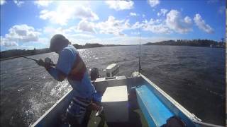 Screemin Reels ep7 River Cobia