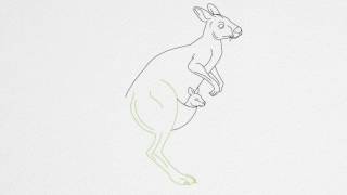 How to draw a KANGAROO step by step