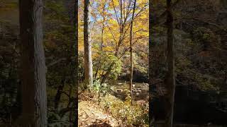 Deep Creek Trail to Water Falls NC