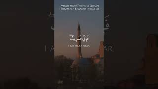 I am truly near | Al - Baqarah 186 | Mishary Rashid Alafasy #quran #mishary #shorts #viral