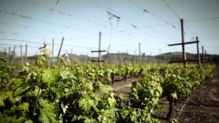 Concha y Toro Innovación #cyt #vinos #innovación