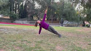 Side Plank to Push Up Sequence with CoachTara