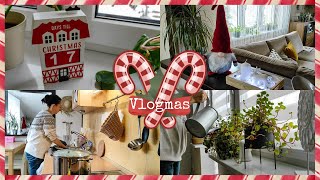 VLOGMAS #8 | Skrzat się zadomowił | Znowu sypie śnieg