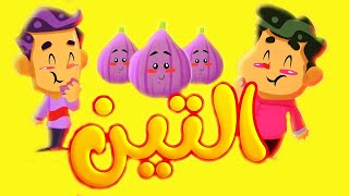 التين طيور بيبي Toyor Baby Tin