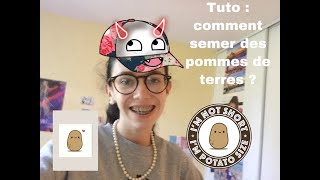 Tuto: Comment semer des pommes de terre ?