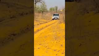 Maruti Suzuki Brezza off road driving status 🔥🔥🔥