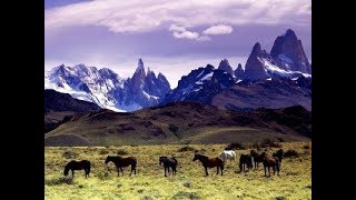 Patagonia -Argentina-