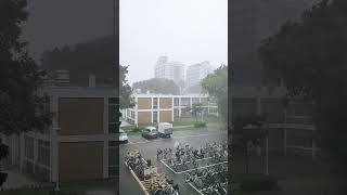 Rain 🌧️#weather #taiwan #rain #sky #reels #shorts #sky